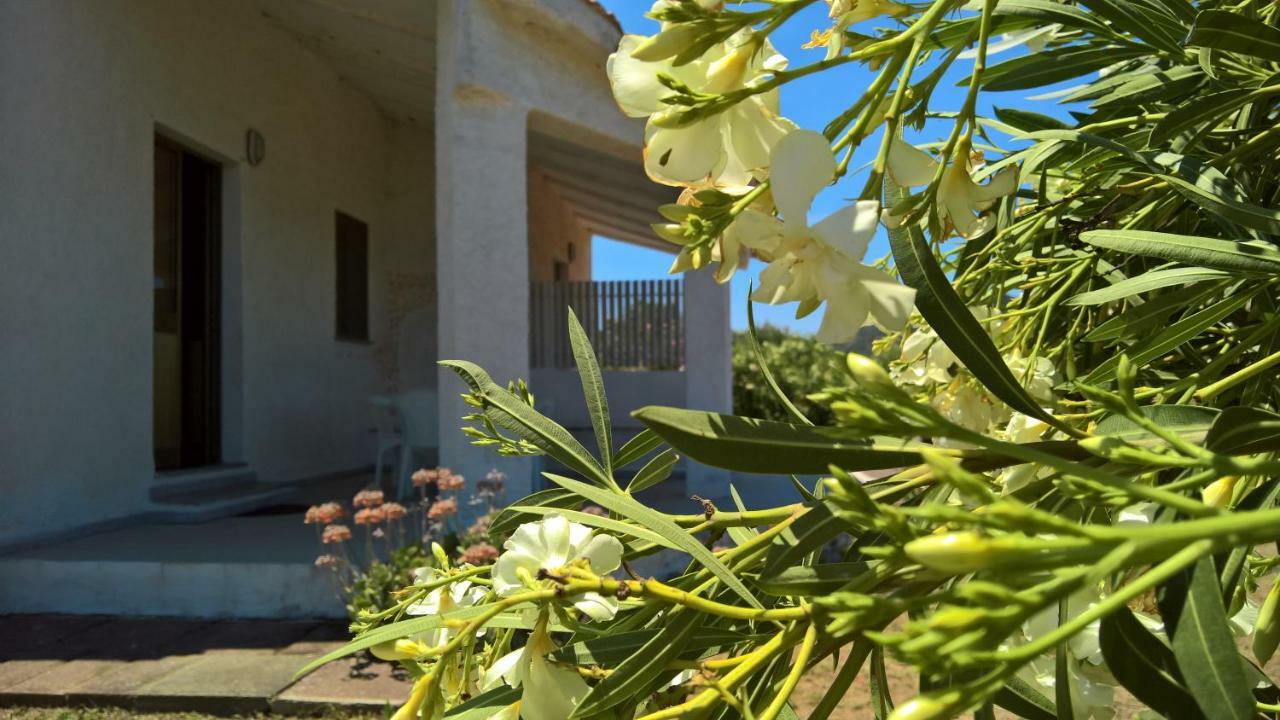 Villa Singola Valledoria (Sardinia) Exterior foto